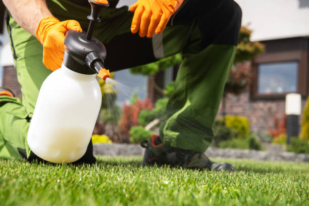 Best Emergency Pest Control  in Fabrica, TX