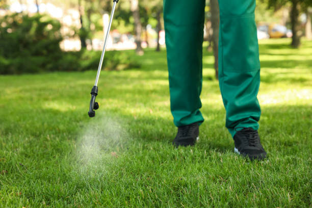 Wasp Removal Services in Fabrica, TX