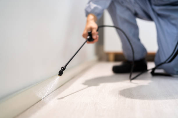 Flea Control Services in Fabrica, TX