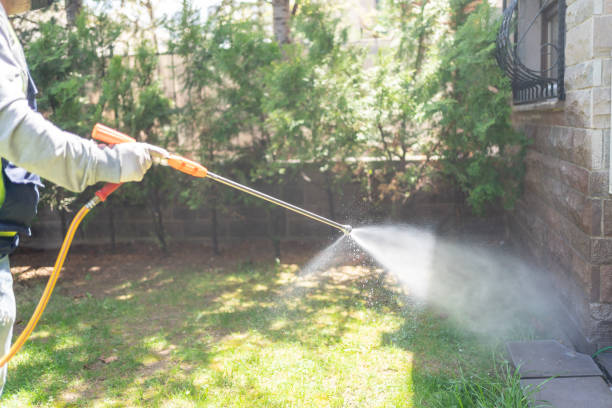 Best Spider Control Near Me  in Fabrica, TX