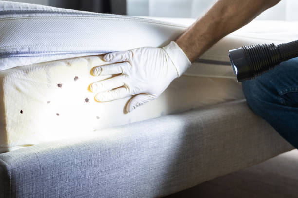 Best Pest Control Near Me  in Fabrica, TX