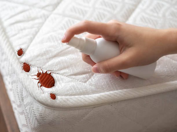 Best Exterminator Services  in Fabrica, TX