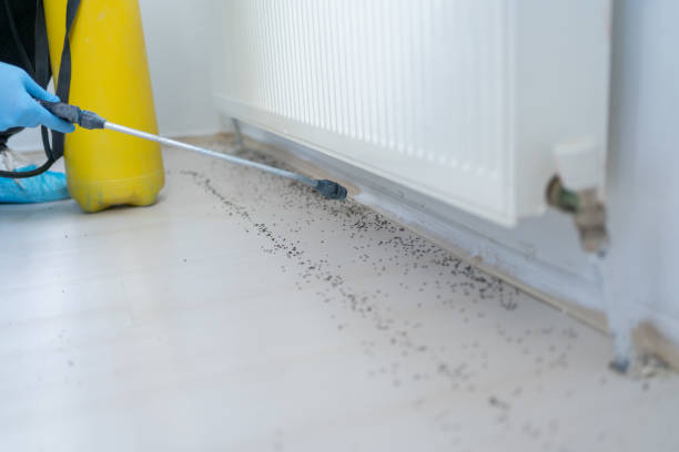 Best Pest Prevention Services  in Fabrica, TX