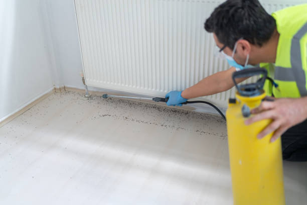 Best Ant Control Services  in Fabrica, TX