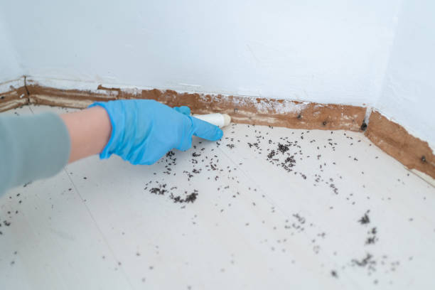 Professional Pest Control in Fabrica, TX