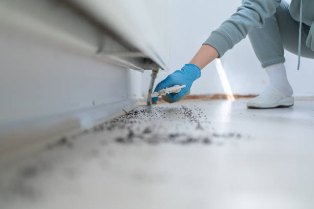 Best Best Pest Control Companies  in Fabrica, TX