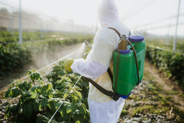 Best Pest Control for Homes  in Fabrica, TX